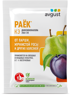 раек от парши, мучнистой росы, avgust